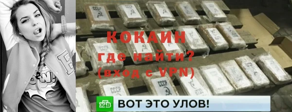 крисы Бородино