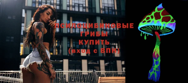 ешки Богданович