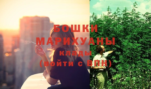крисы Бородино