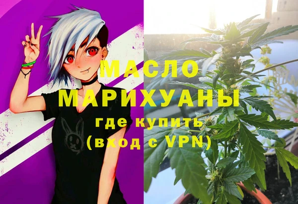 крисы Бородино