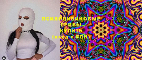 крисы Богородицк