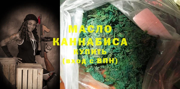 крисы Бородино