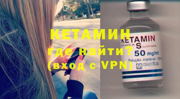 крисы Бородино