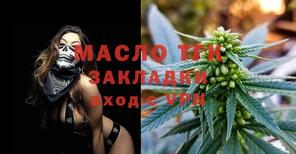 крисы Богородицк