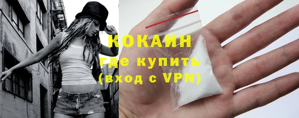 крисы Бородино